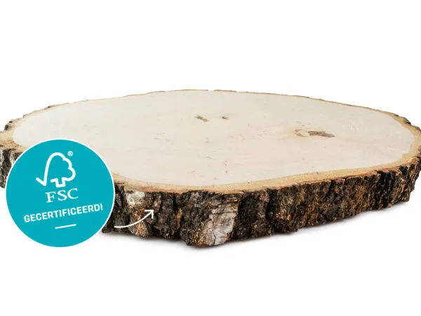 Berkenhouten boomschijf met schors